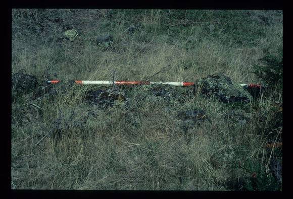 LAKE CONDAH - COMPLEX G FEATURE