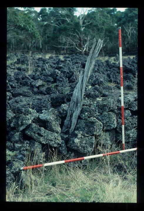 LAKE CONDAH - COMPLEX G FEATURE