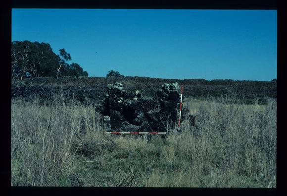 LAKE CONDAH - COMPLEX G FEATURE
