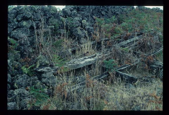 LAKE CONDAH - COMPLEX G FEATURE