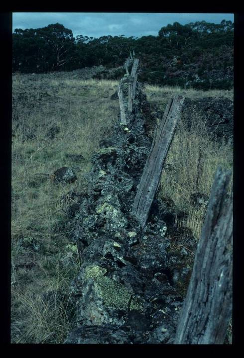 LAKE CONDAH - COMPLEX G FEATURE