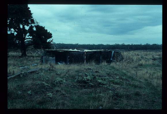 LAKE CONDAH - COMPLEX D (MURPHY'S HUT)