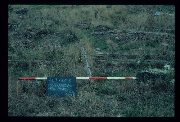 LAKE CONDAH - COMPLEX D (MURPHY'S HUT) FEATURE -
COLLAPSED POST RAIL FENCE