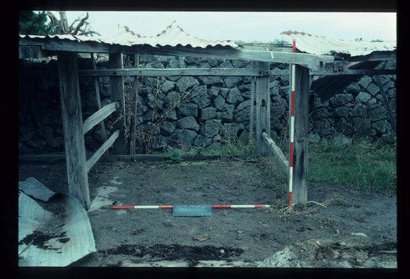 LAKE CONDAH - COMPLEX D (MURPHY'S HUT) FEATURE