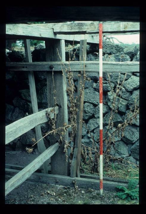 LAKE CONDAH - COMPLEX D (MURPHY'S HUT) FEATURE