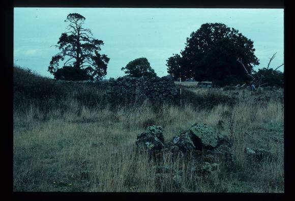 LAKE CONDAH - COMPLEX D (MURPHY'S HUT) FEATURE