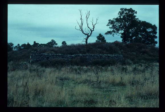 LAKE CONDAH - COMPLEX D (MURPHY'S HUT) FEATURE