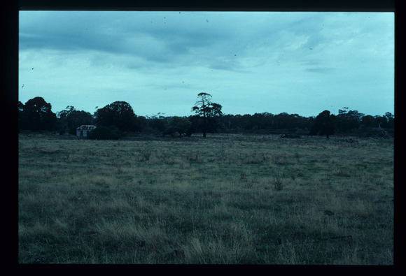 LAKE CONDAH - COMPLEX D (MURPHY'S HUT)