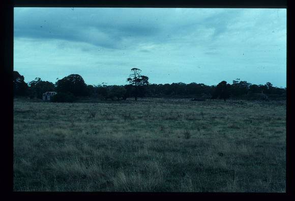 LAKE CONDAH - COMPLEX D (MURPHY'S HUT)