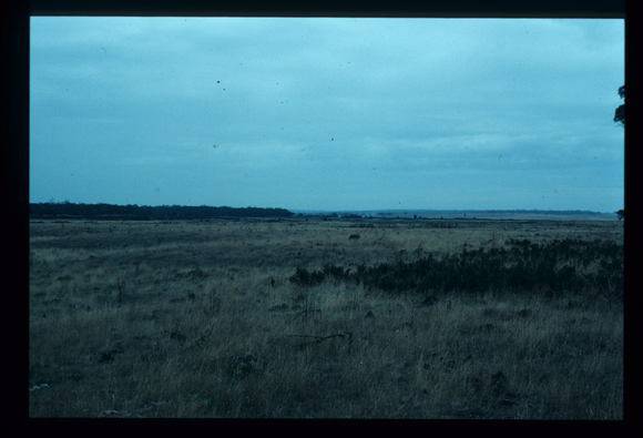 LAKE CONDAH - COMPLEX D (MURPHY'S HUT)
