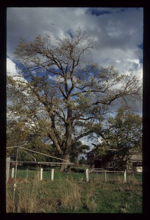 SQUATTLESEA MERE HOMESTEAD SITE