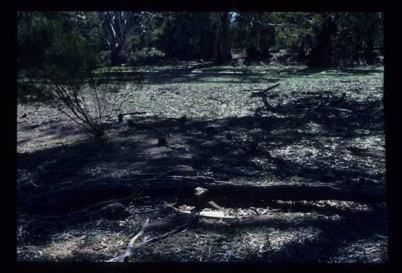 HATTAH-KULKYNE MILITARY INTERNMENT CAMP