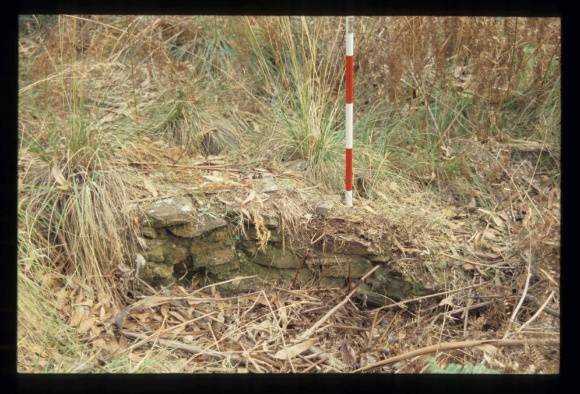 HICKMANS CREEK SAWMILL FEATURE