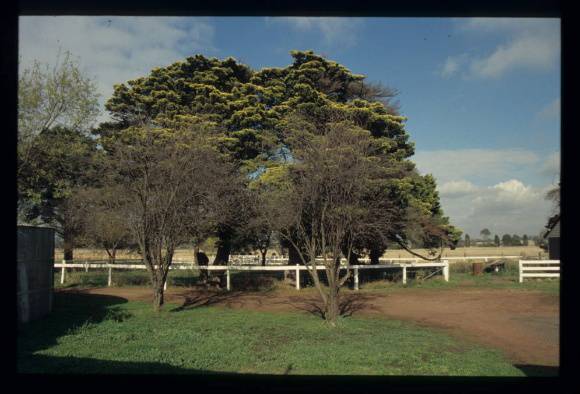 CLONARD HOMESTEAD