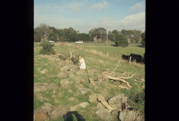 BATMAN PASTORAL RUN AND KINLOCHEWE ESTATE SITE FEATURE