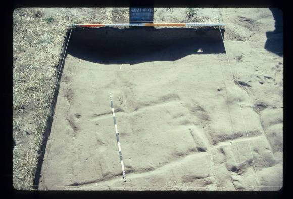CORINELLA PENAL SETTLEMENT EXCAVATION