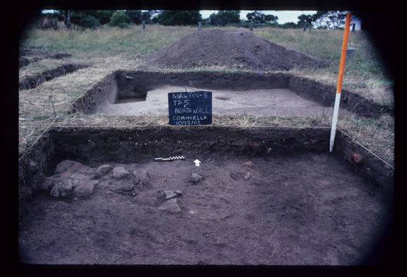CORINELLA PENAL SETTLEMENT EXCAVATION