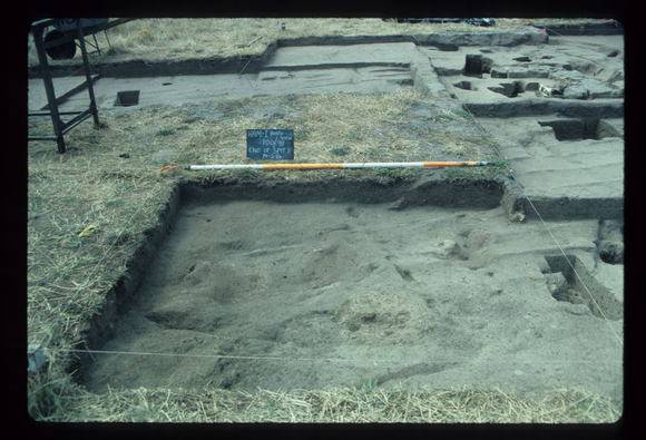 CORINELLA PENAL SETTLEMENT EXCAVATION