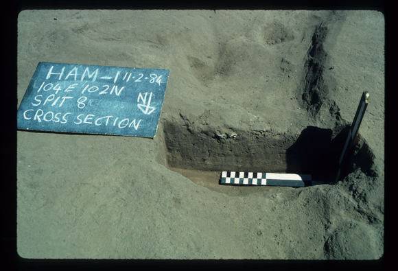 CORINELLA PENAL SETTLEMENT EXCAVATION