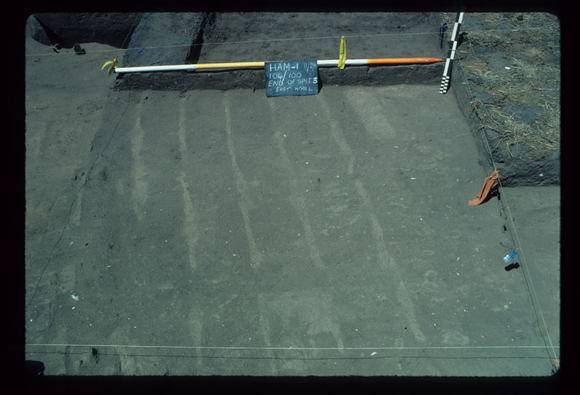 CORINELLA PENAL SETTLEMENT EXCAVATION