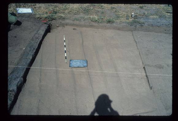 CORINELLA PENAL SETTLEMENT EXCAVATION