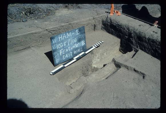 CORINELLA PENAL SETTLEMENT EXCAVATION