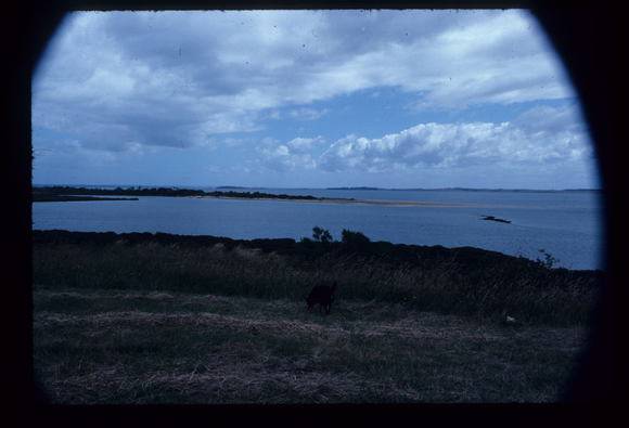 CORINELLA PENAL SETTLEMENT