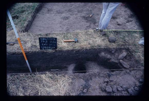 CORINELLA PENAL SETTLEMENT EXCAVATION