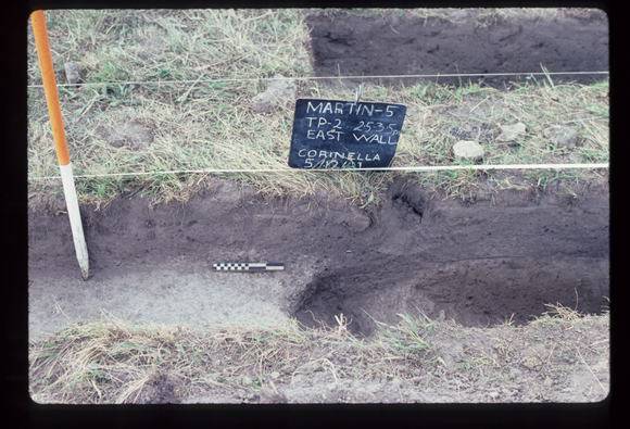 CORINELLA PENAL SETTLEMENT EXCAVATION