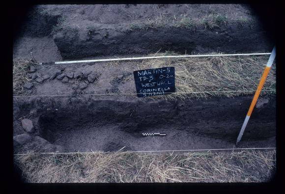 CORINELLA PENAL SETTLEMENT EXCAVATION