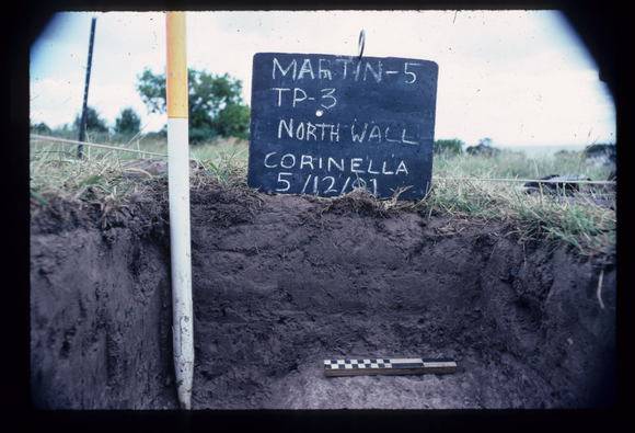 CORINELLA PENAL SETTLEMENT EXCAVATION