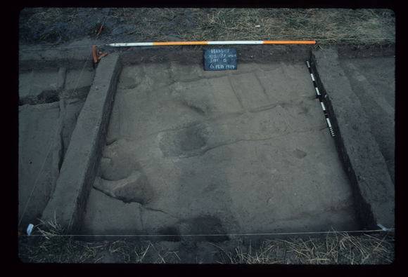 CORINELLA PENAL SETTLEMENT EXCAVATION