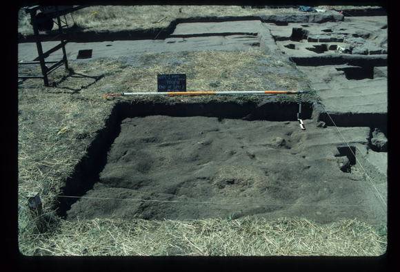 CORINELLA PENAL SETTLEMENT EXCAVATION