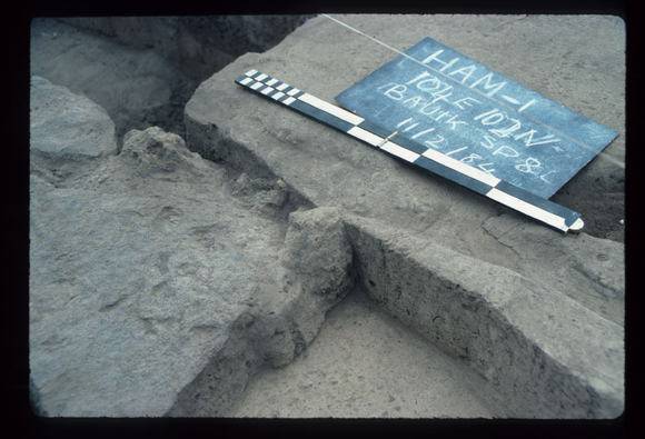 CORINELLA PENAL SETTLEMENT EXCAVATION