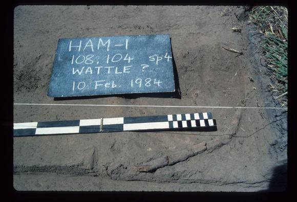 CORINELLA PENAL SETTLEMENT EXCAVATION