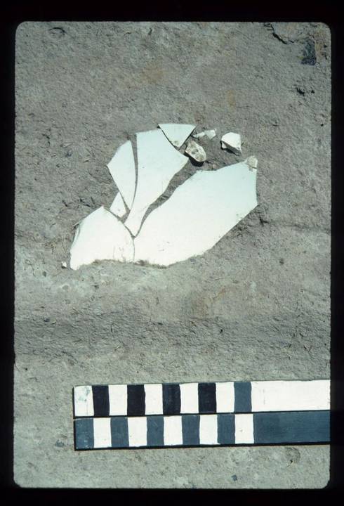 CORINELLA PENAL SETTLEMENT EXCAVATION
