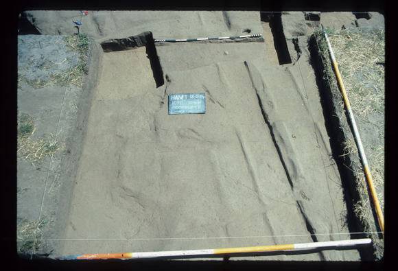 CORINELLA PENAL SETTLEMENT EXCAVATION