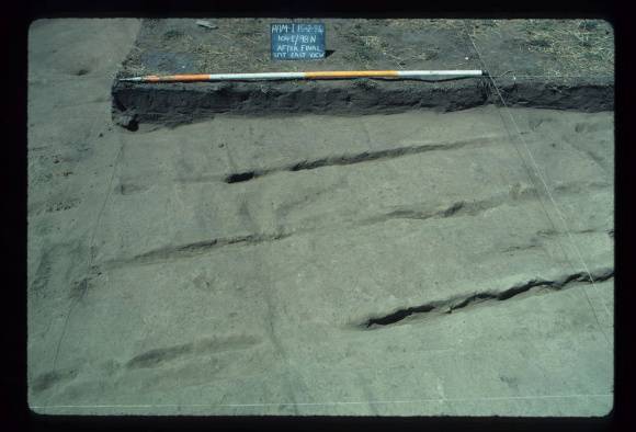 CORINELLA PENAL SETTLEMENT EXCAVATION