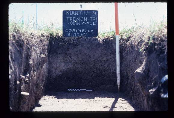 CORINELLA PENAL SETTLEMENT EXCAVATION
