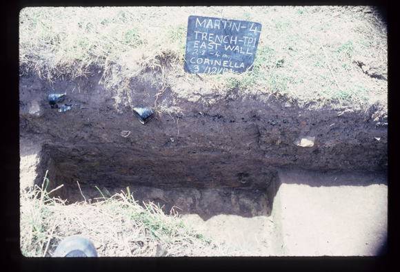 CORINELLA PENAL SETTLEMENT EXCAVATION