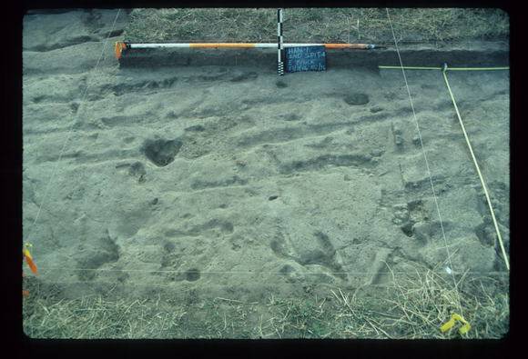 CORINELLA PENAL SETTLEMENT EXCAVATION