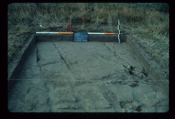 CORINELLA PENAL SETTLEMENT EXCAVATION
