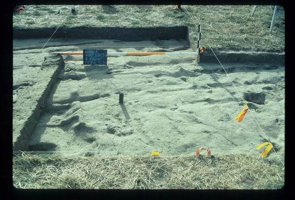CORINELLA PENAL SETTLEMENT EXCAVATION