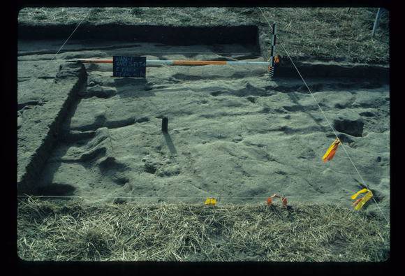 CORINELLA PENAL SETTLEMENT EXCAVATION