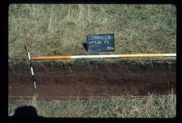 CORINELLA PENAL SETTLEMENT EXCAVATION