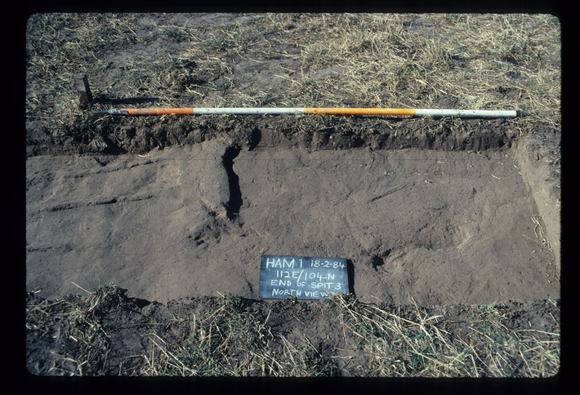 CORINELLA PENAL SETTLEMENT EXCAVATION