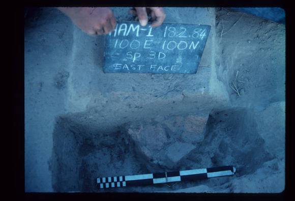 CORINELLA PENAL SETTLEMENT EXCAVATION
