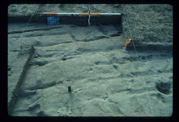 CORINELLA PENAL SETTLEMENT EXCAVATION