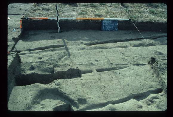 CORINELLA PENAL SETTLEMENT EXCAVATION