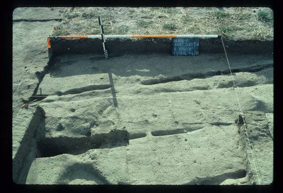 CORINELLA PENAL SETTLEMENT EXCAVATION